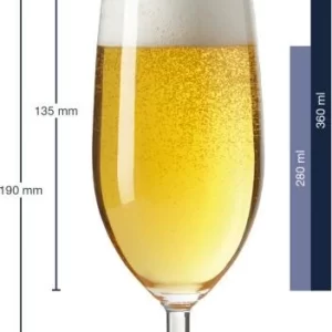 Leonardo Bierglas DAILY 360 Ml, 6er-Set 12