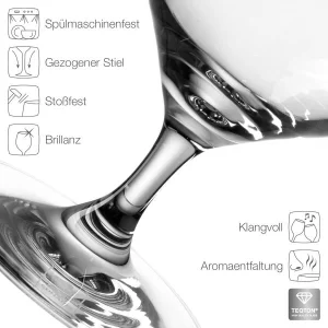 Leonardo Bierglas TIVOLI 410 Ml, 6er-Set 10